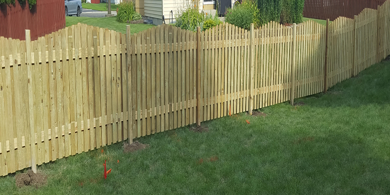 Affordable Yard Fences