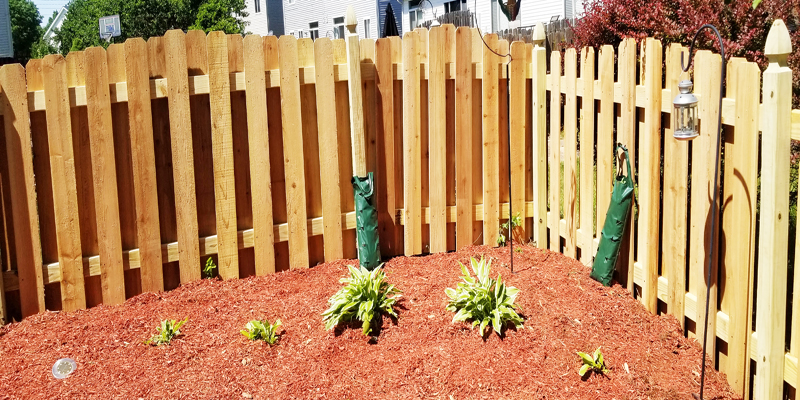 Affordable Yard Fences