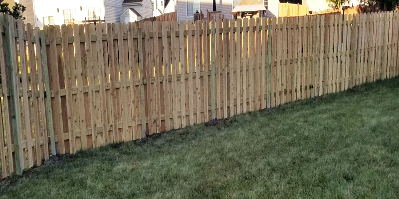 Affordable Yard Fences